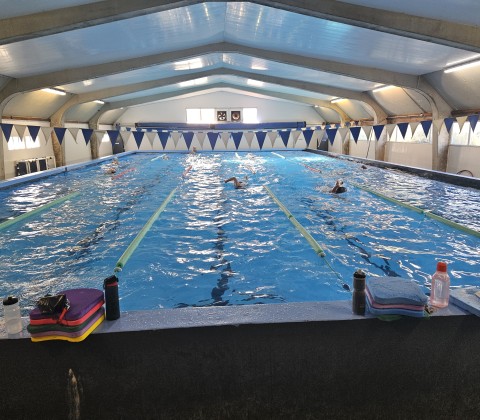 Adult Swimming